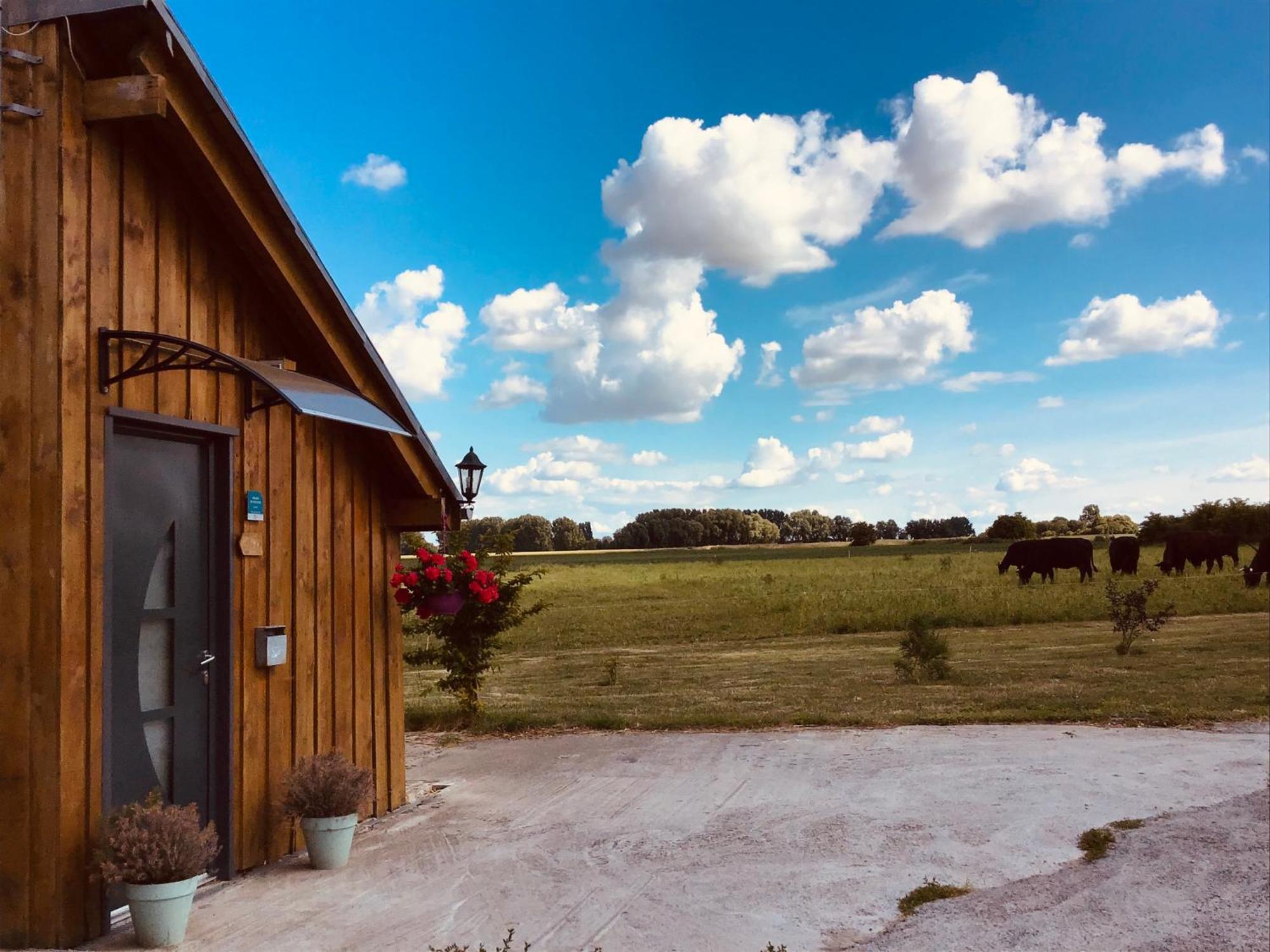 Le Chalet De La Ferme Du Tertre Villers-au-Tertre Ruang foto